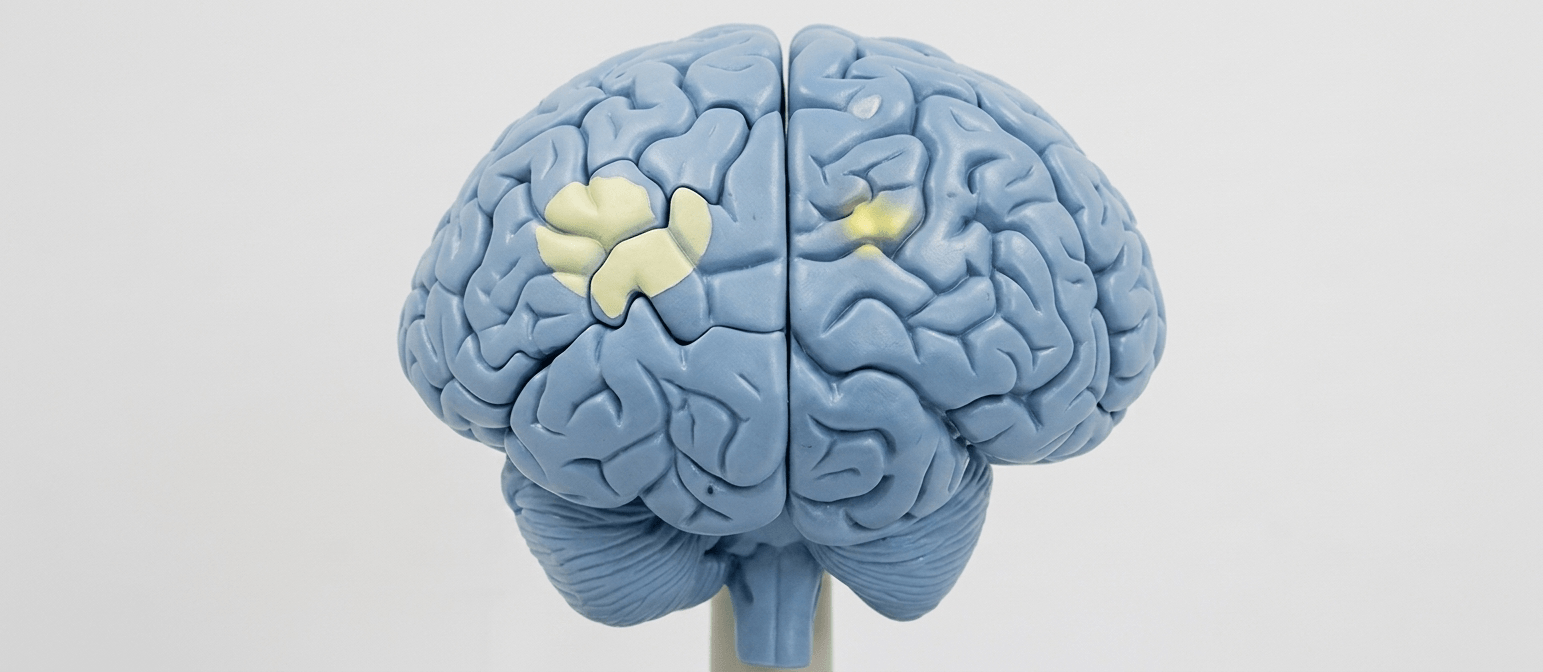 Neuropsicologia