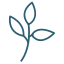 tcc-icon